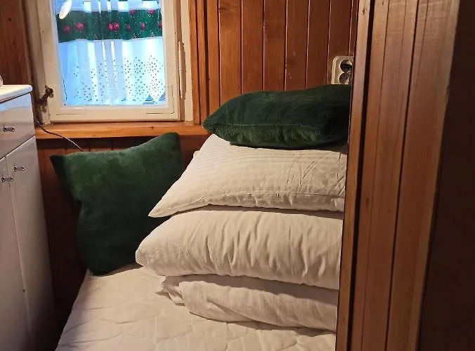 Konradówka - Dębowy, Klonowy, Kosówka, Limba, Brzozowy I Jemioła Apartament Zakopane